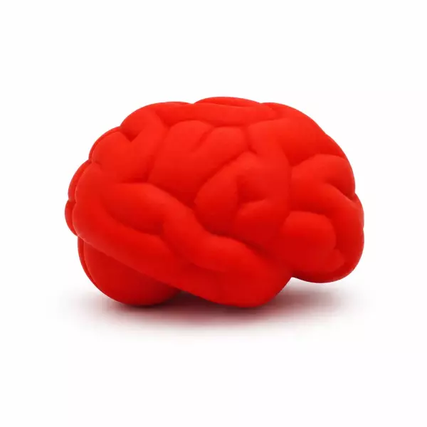 Cérebro Anti Stress Personalizado 