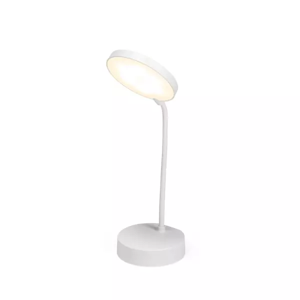 Luminária Articulável Recarregável 10 Leds Personalizada 