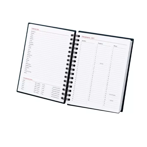 Agenda Diária 2027 Personalizada 