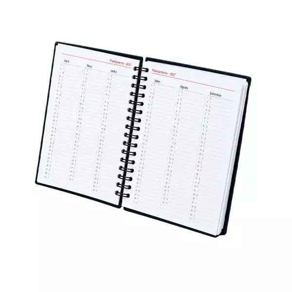 Agenda Diária 2027 Personalizada 