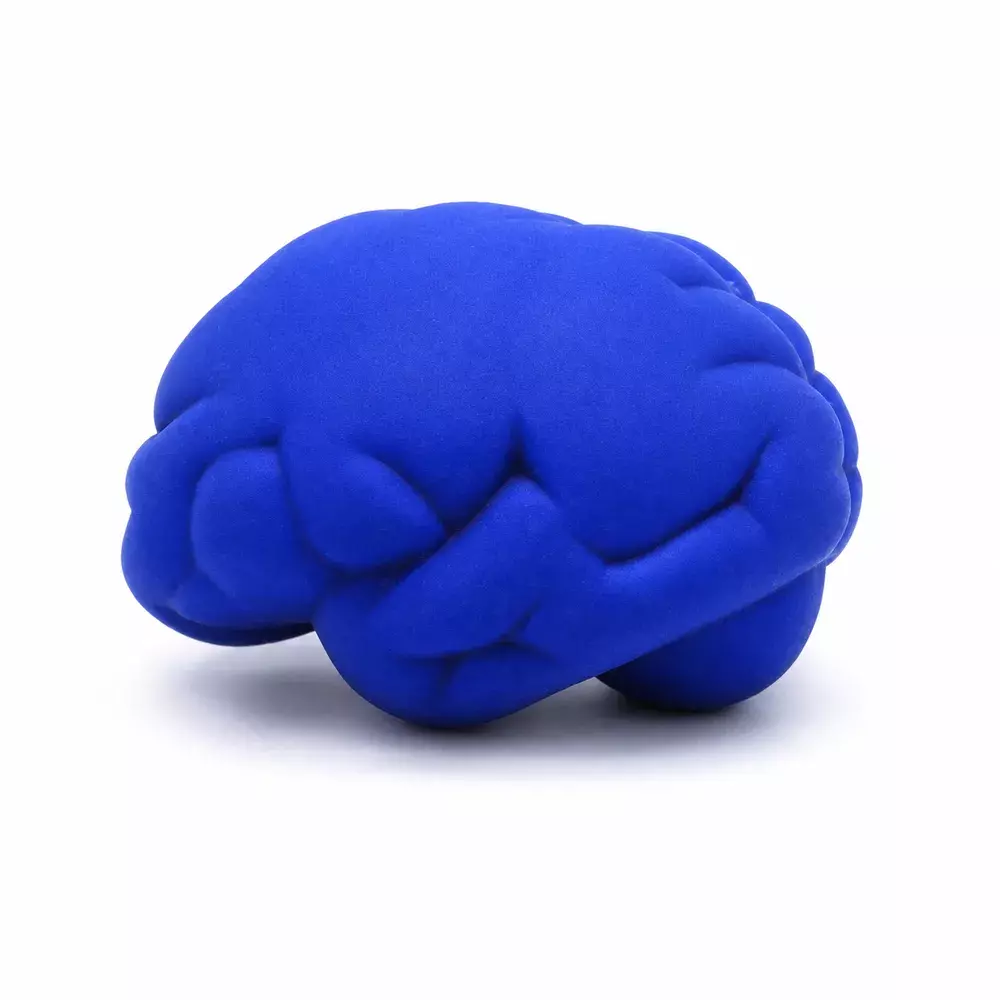 Cérebro Anti Stress Personalizado 