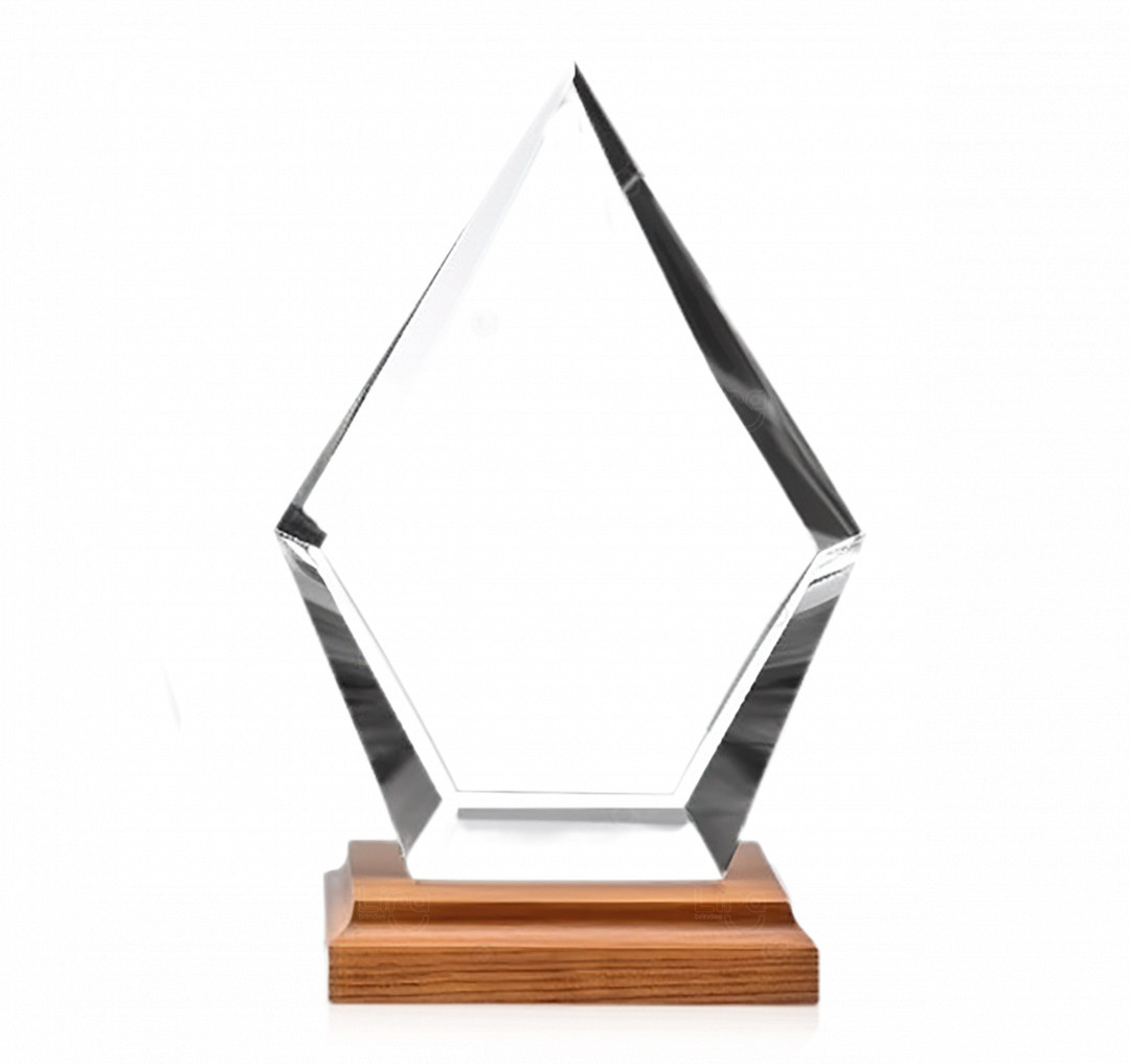 Troféu em Acrílico Personalizado 