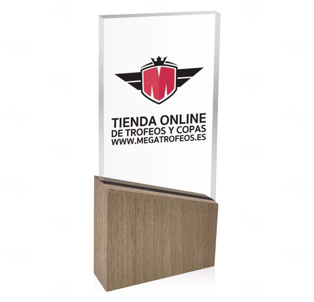 Troféu em Acrílico Personalizado 