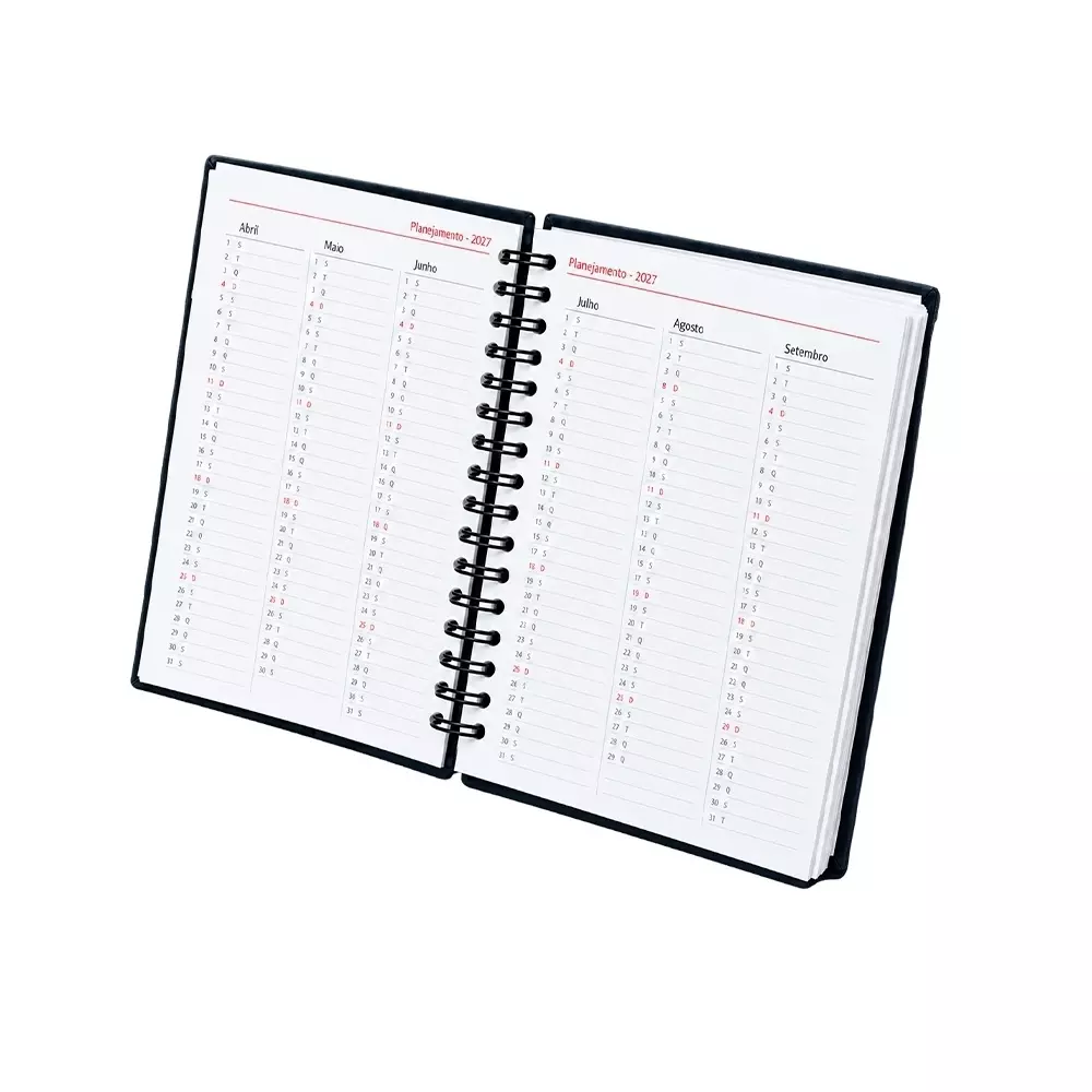 Agenda Diária 2027 Personalizada 